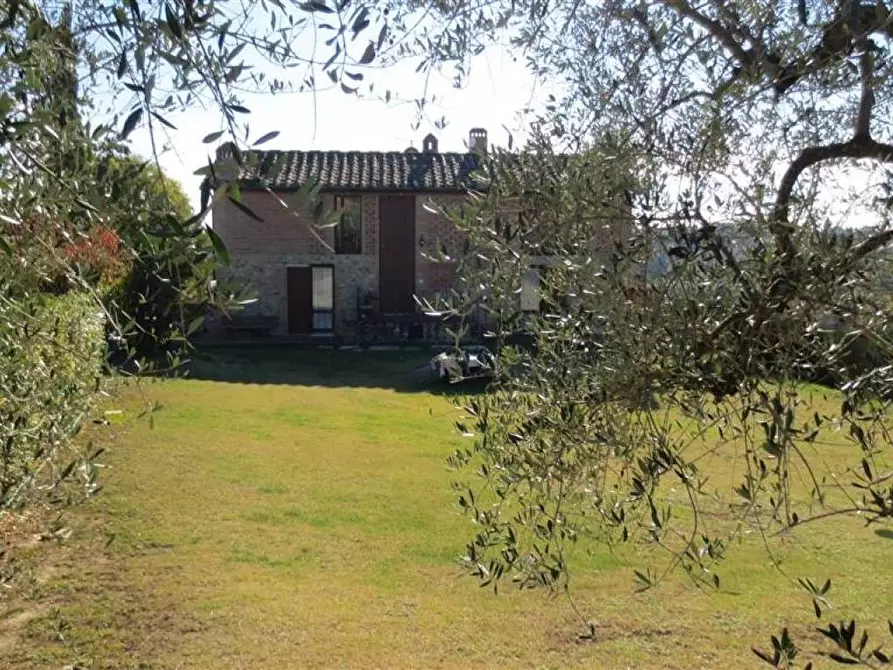 Immagine 3 di Casa colonica in vendita  a Castelnuovo Berardenga