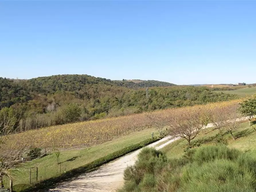 Immagine 8 di Casa colonica in vendita  a Castelnuovo Berardenga