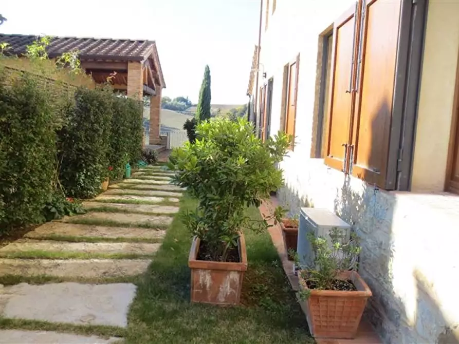 Immagine 19 di Casa colonica in vendita  a Castelnuovo Berardenga