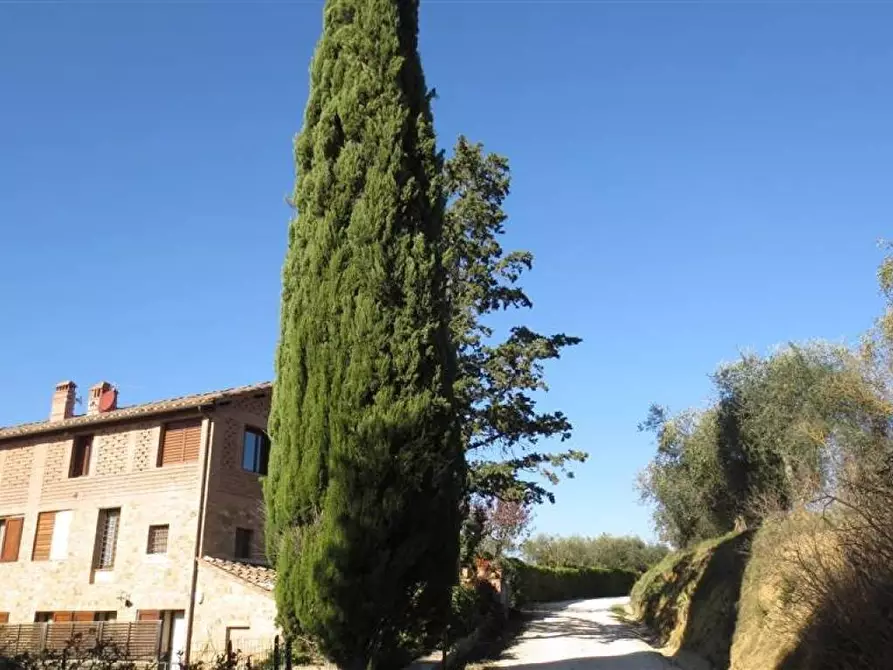 Immagine 5 di Casa colonica in vendita  a Castelnuovo Berardenga