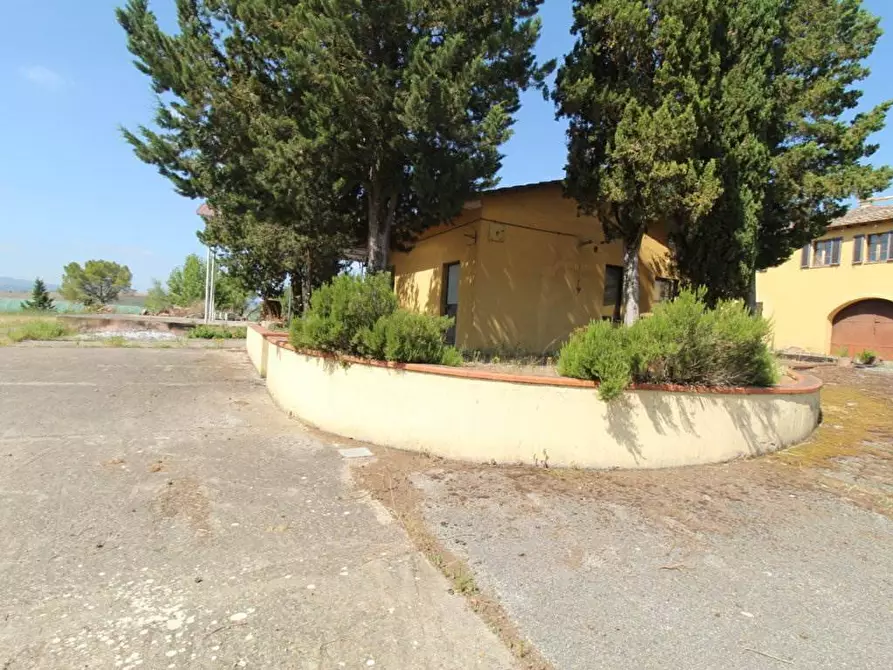 Immagine 37 di Casa colonica in vendita  a Asciano