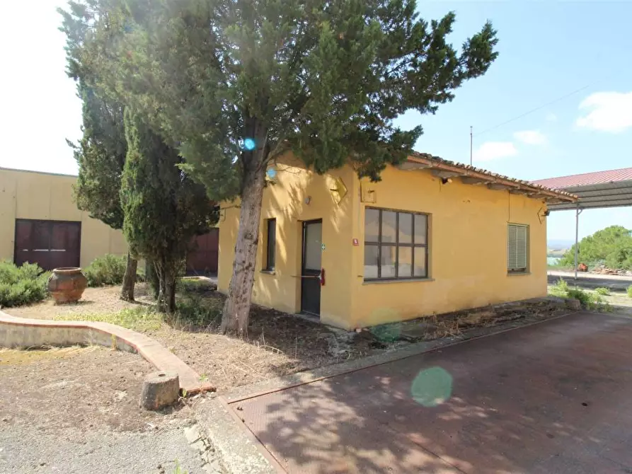 Immagine 26 di Casa colonica in vendita  a Asciano