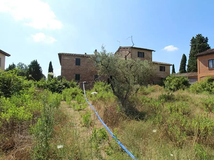 Immagine 39 di Casa colonica in vendita  a Asciano