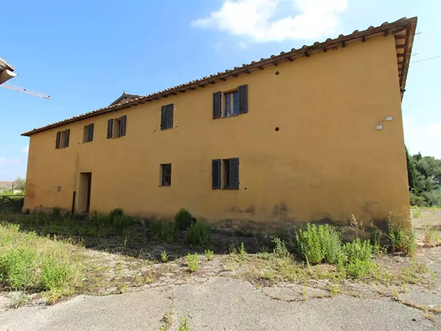 Immagine 3 di Casa colonica in vendita  a Asciano