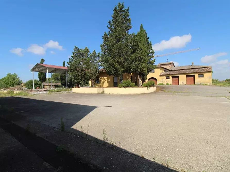 Immagine 4 di Casa colonica in vendita  a Asciano