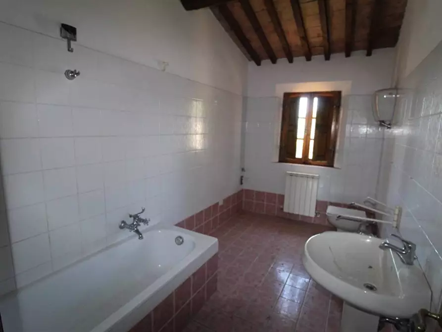 Immagine 21 di Casa colonica in vendita  a Asciano