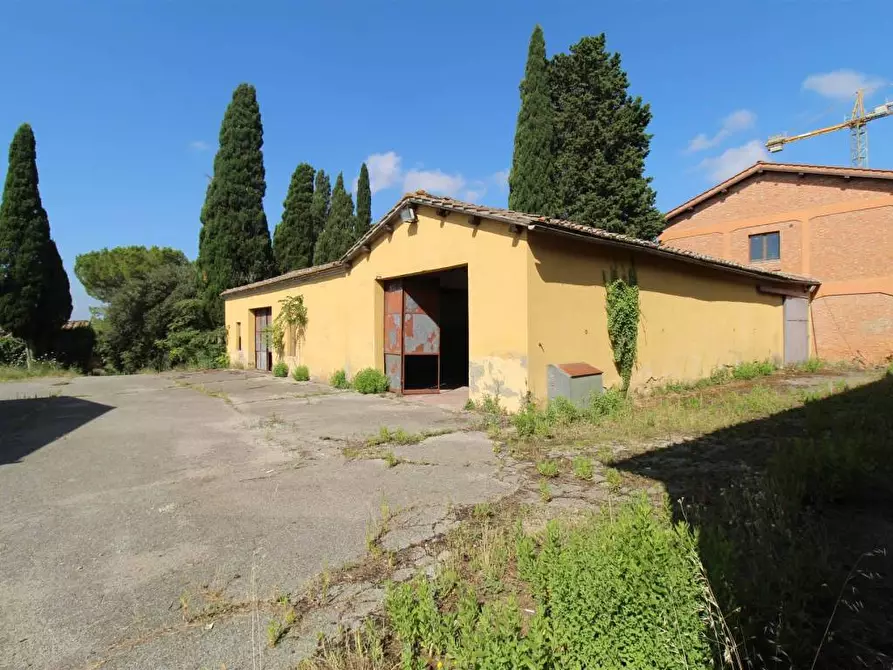 Immagine 2 di Casa colonica in vendita  a Asciano