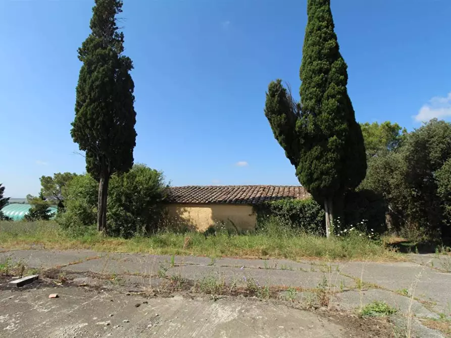 Immagine 5 di Casa colonica in vendita  a Asciano