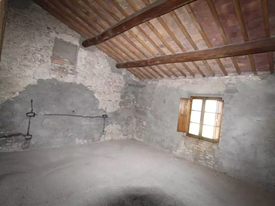 Immagine 28 di Casa colonica in vendita  a Asciano