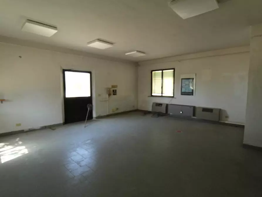 Immagine 35 di Casa colonica in vendita  a Asciano