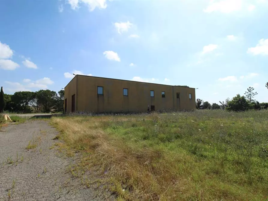 Immagine 14 di Casa colonica in vendita  a Asciano