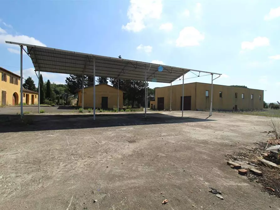 Immagine 13 di Casa colonica in vendita  a Asciano