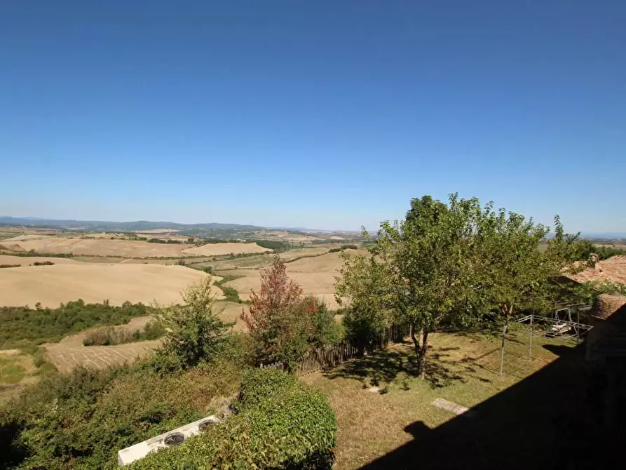 Immagine 10 di Attività commerciale in vendita  a Montalcino