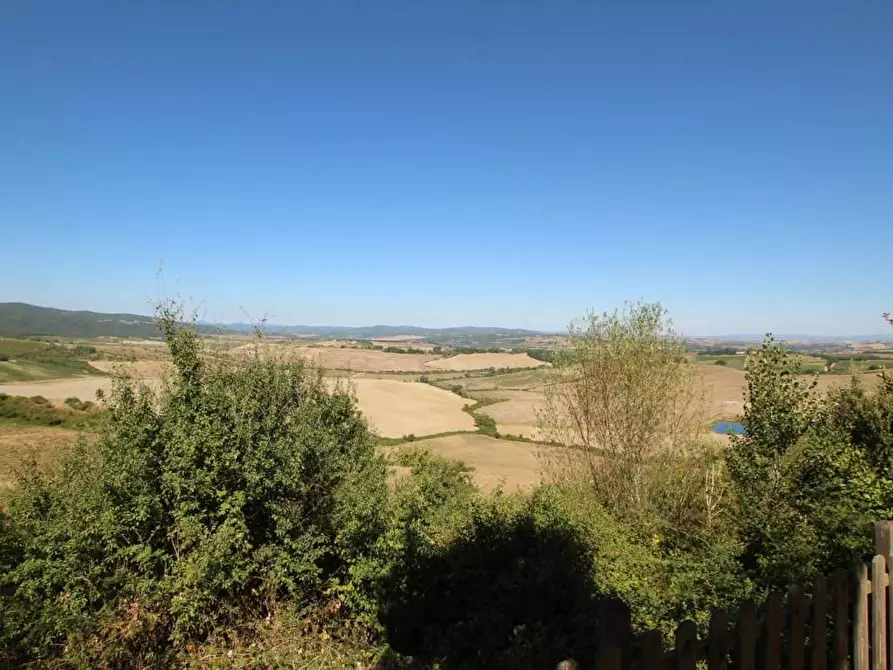 Immagine 14 di Attività commerciale in vendita  a Montalcino