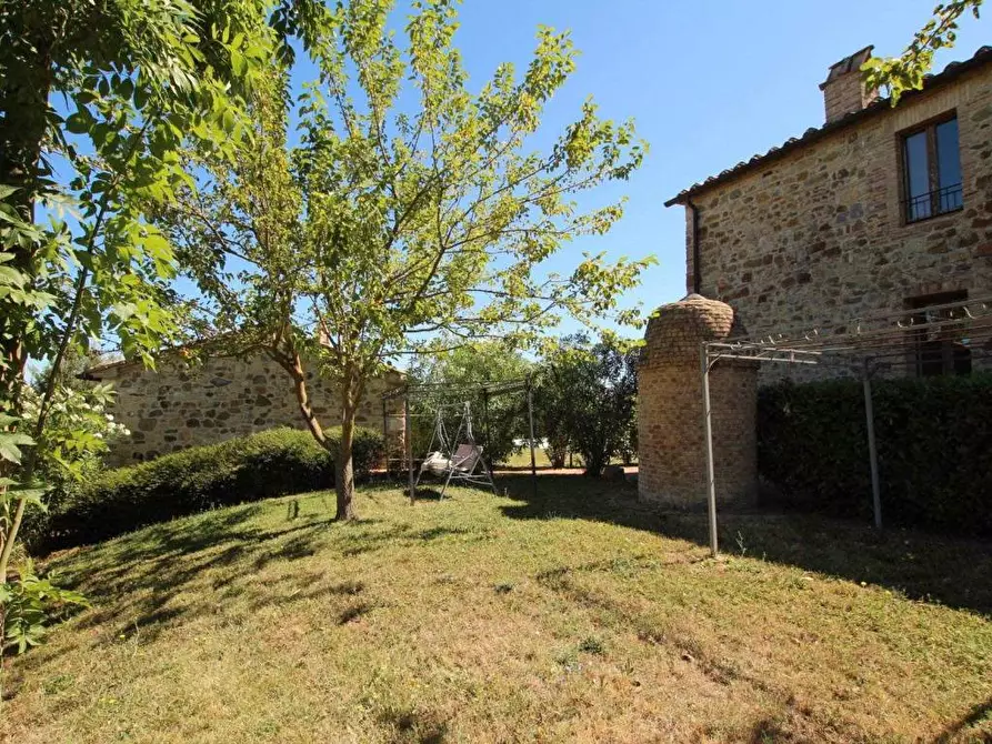 Immagine 11 di Attività commerciale in vendita  a Montalcino
