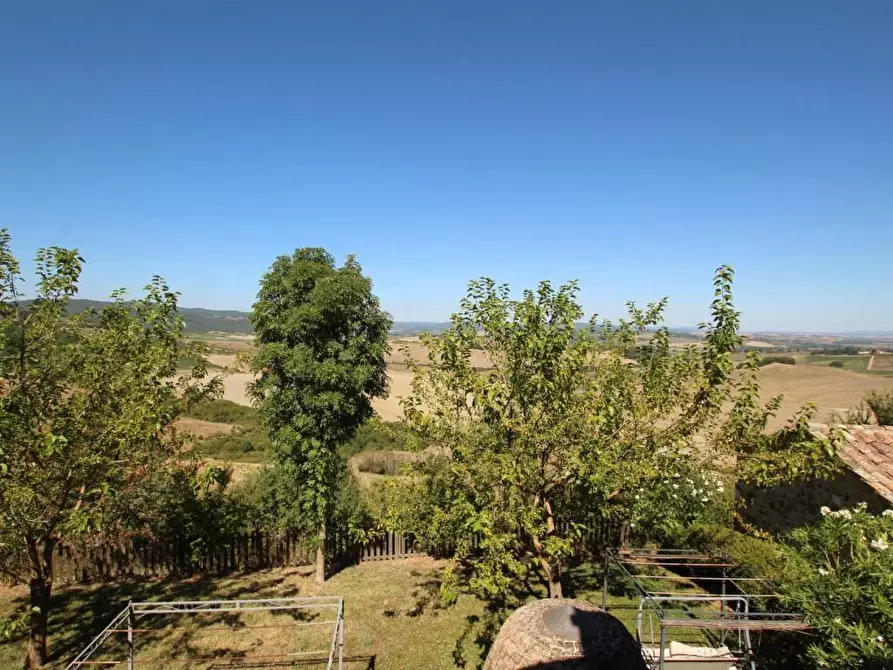 Immagine 18 di Attività commerciale in vendita  a Montalcino