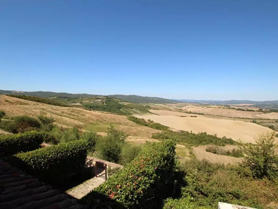 Immagine 2 di Attività commerciale in vendita  a Montalcino