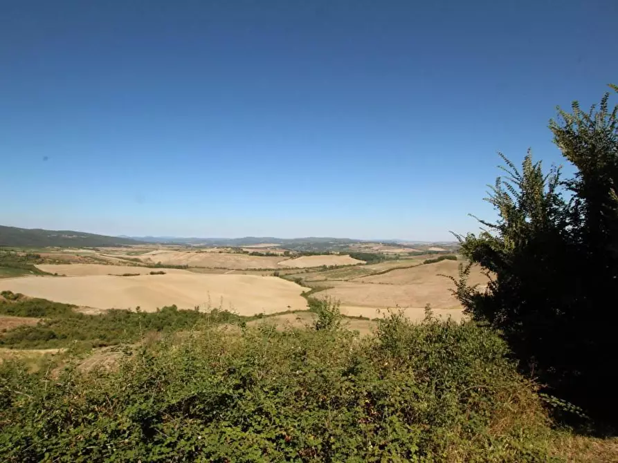 Immagine 1 di Attività commerciale in vendita  a Montalcino