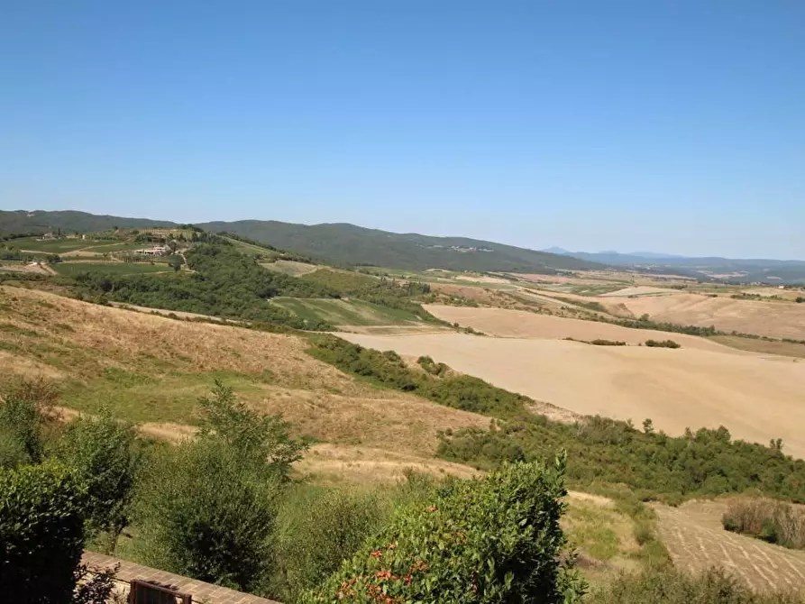 Immagine 9 di Attività commerciale in vendita  a Montalcino