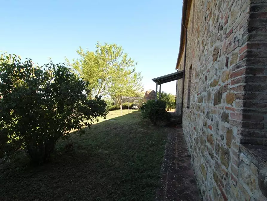 Immagine 17 di Attività commerciale in vendita  a Montalcino