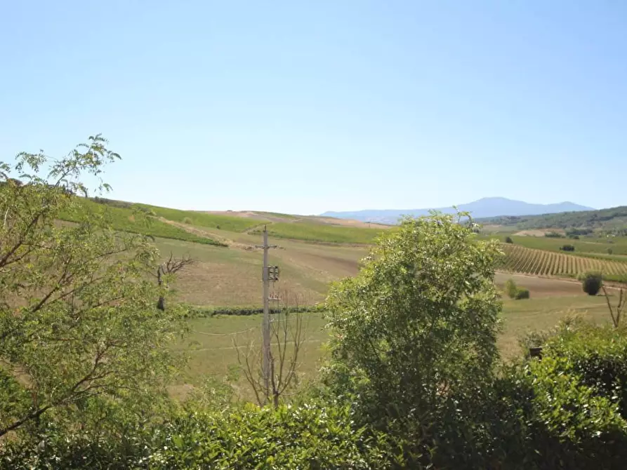 Immagine 8 di Attività commerciale in vendita  a Montalcino