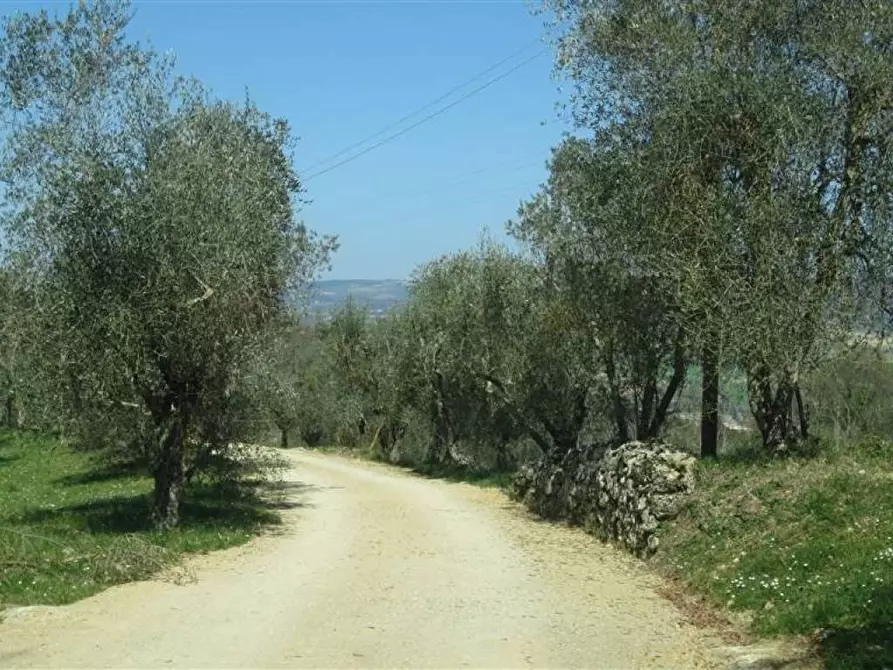 Immagine 16 di Locale commerciale in vendita  a Greve In Chianti