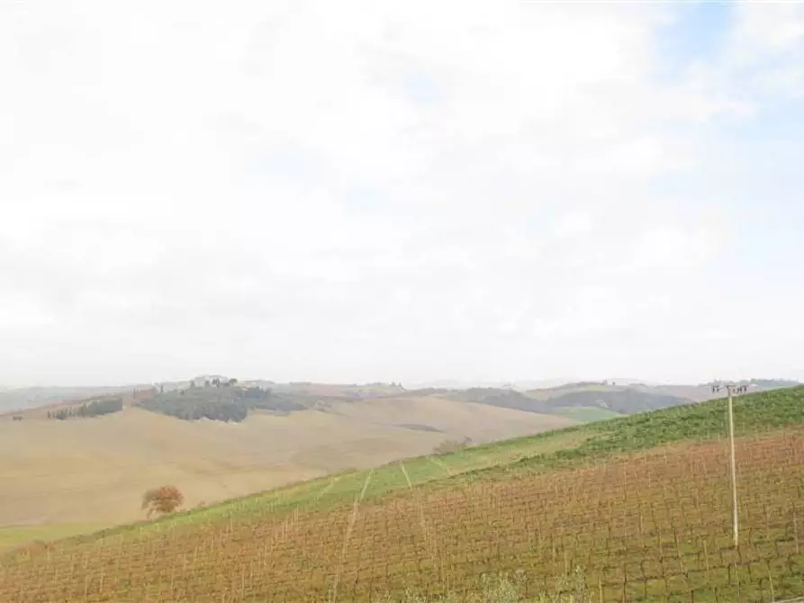 Immagine 3 di Locale commerciale in vendita  a Montalcino