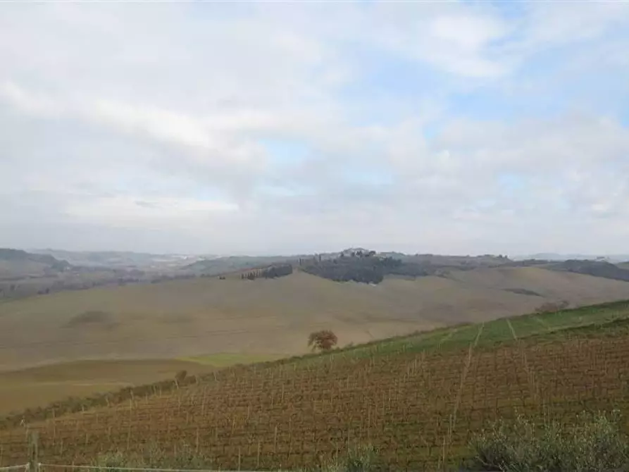 Immagine 4 di Locale commerciale in vendita  a Montalcino