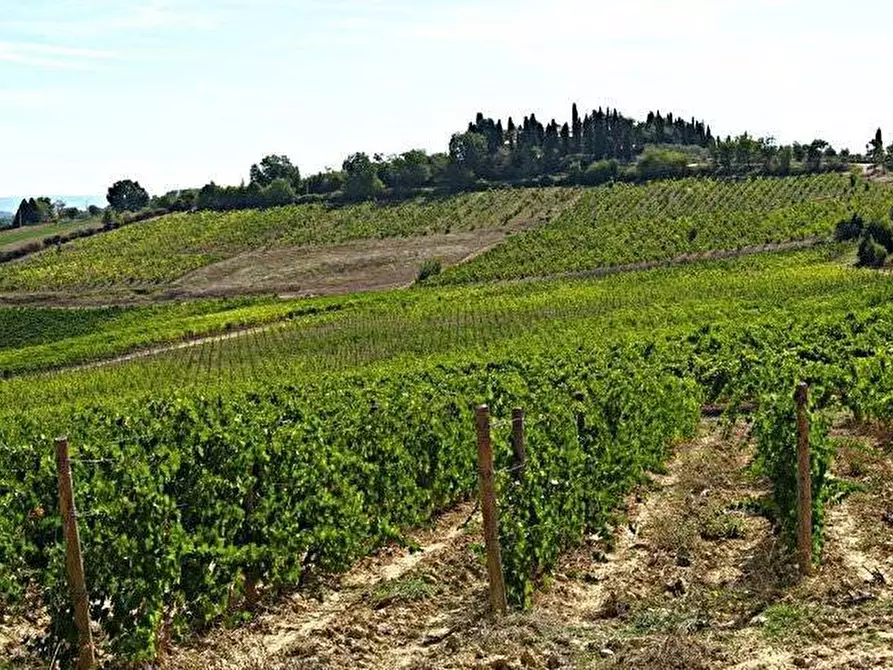 Immagine 2 di Locale commerciale in vendita  a Montalcino