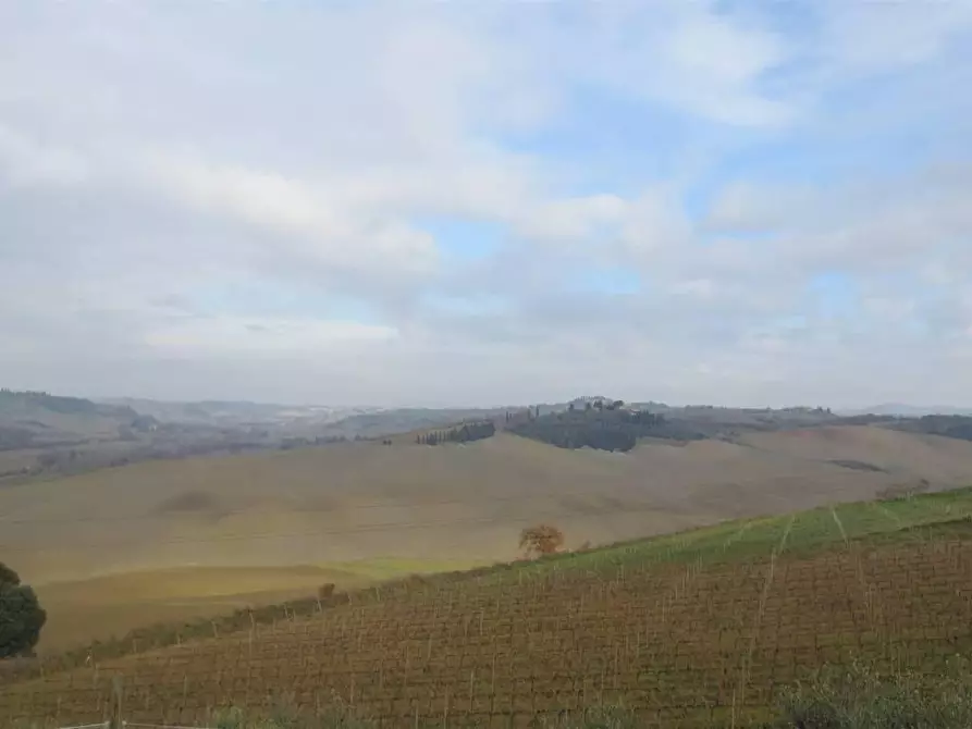 Immagine 5 di Locale commerciale in vendita  a Montalcino