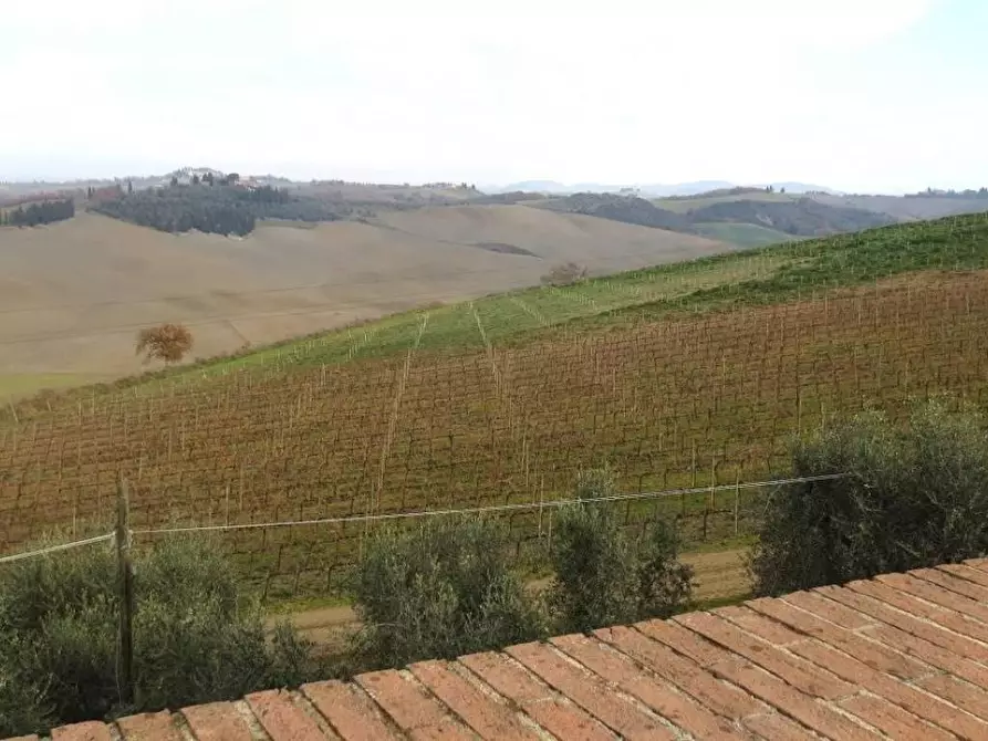 Immagine 6 di Locale commerciale in vendita  a Montalcino