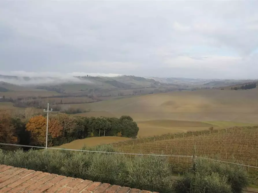Immagine 7 di Locale commerciale in vendita  a Montalcino