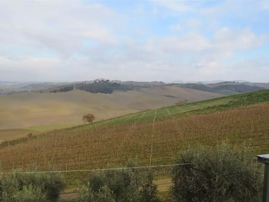 Immagine 8 di Locale commerciale in vendita  a Montalcino
