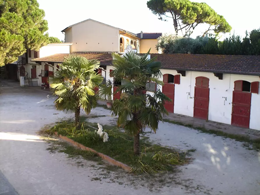 Immagine 6 di Appartamento in vendita  a Pisa