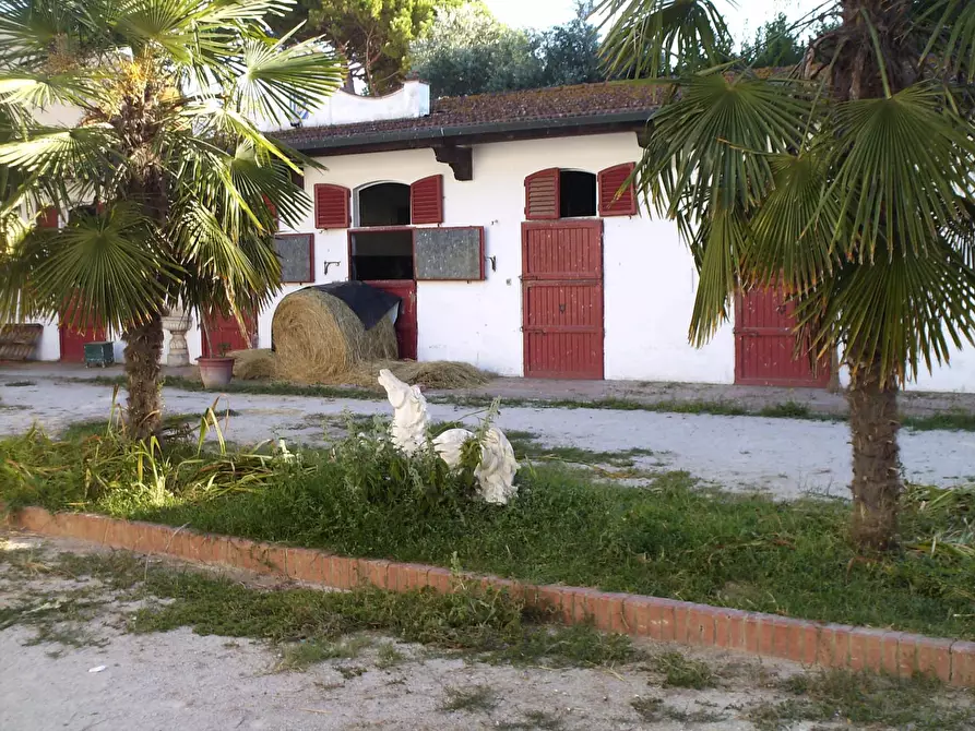 Immagine 8 di Appartamento in vendita  a Pisa