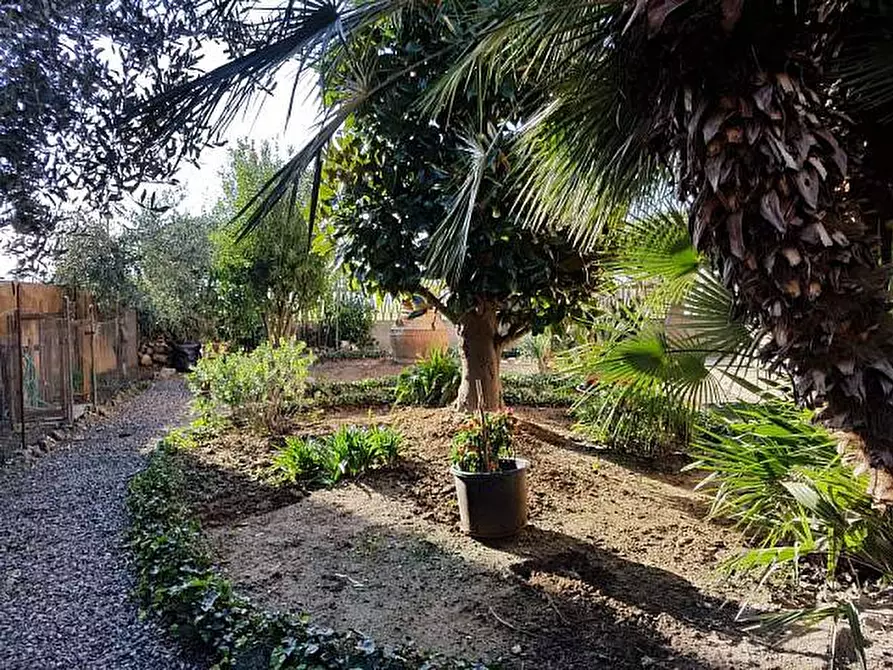 Immagine 2 di Villa in vendita  a Cascina