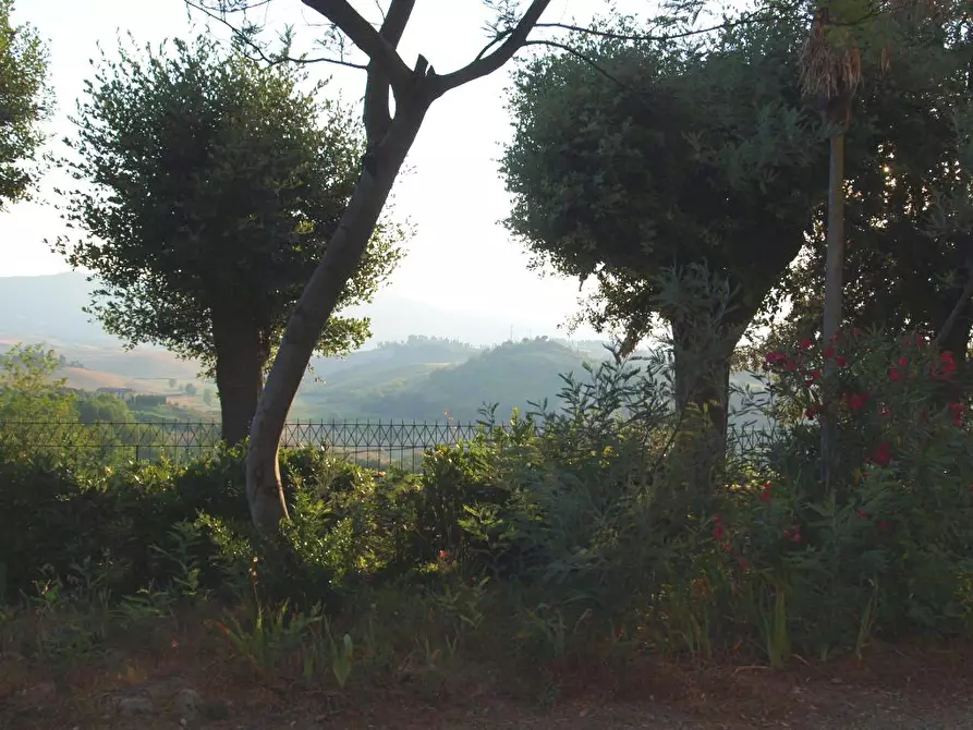 Immagine 10 di Villa in vendita  a Fauglia