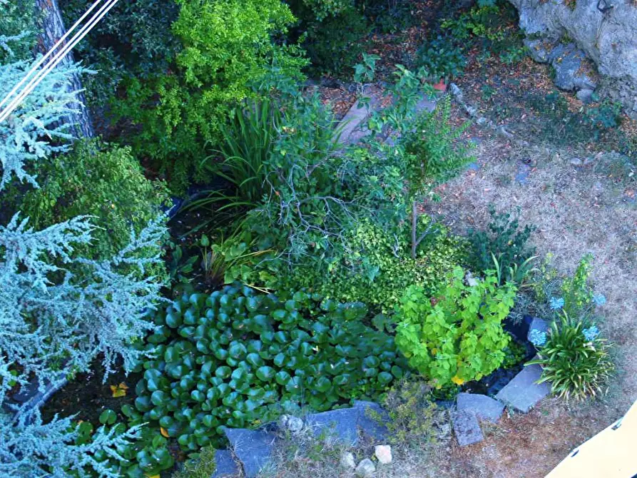 Immagine 30 di Villa in vendita  a Fauglia