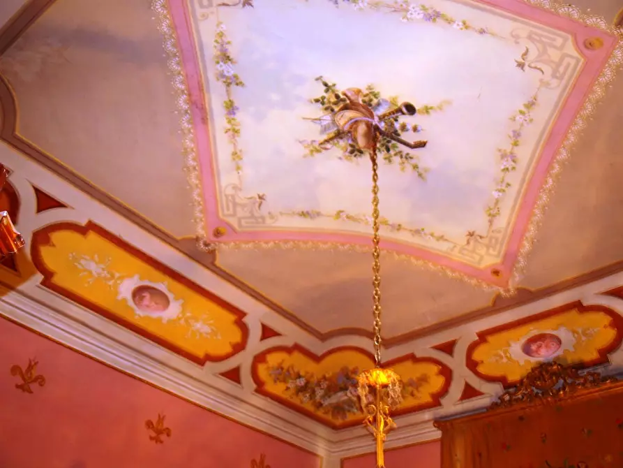 Immagine 35 di Villa in vendita  a Fauglia