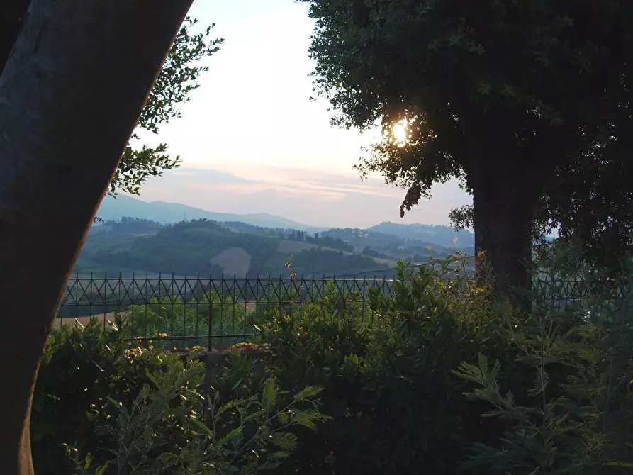 Immagine 14 di Villa in vendita  a Fauglia