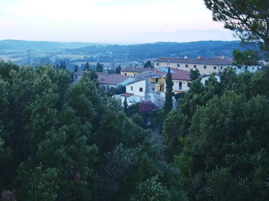 Immagine 29 di Villa in vendita  a Fauglia