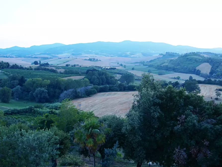 Immagine 28 di Villa in vendita  a Fauglia