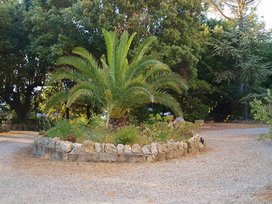 Immagine 12 di Villa in vendita  a Fauglia