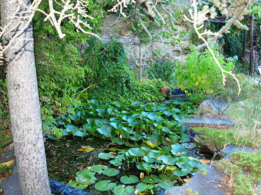 Immagine 17 di Villa in vendita  a Fauglia