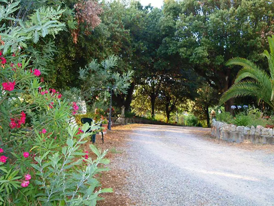 Immagine 13 di Villa in vendita  a Fauglia