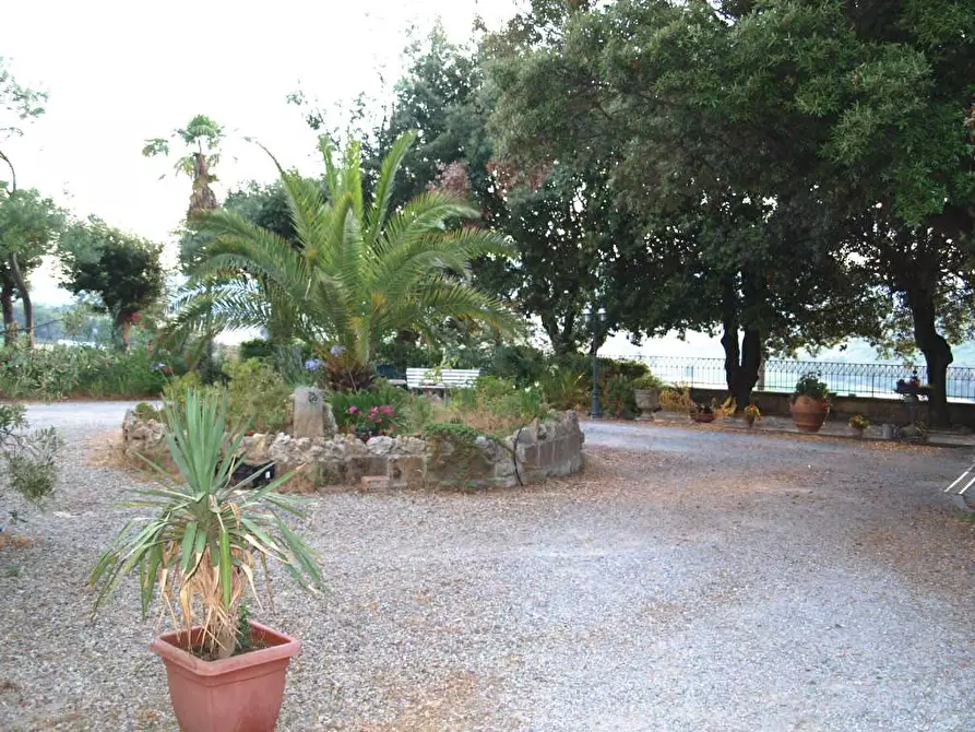 Immagine 18 di Villa in vendita  a Fauglia