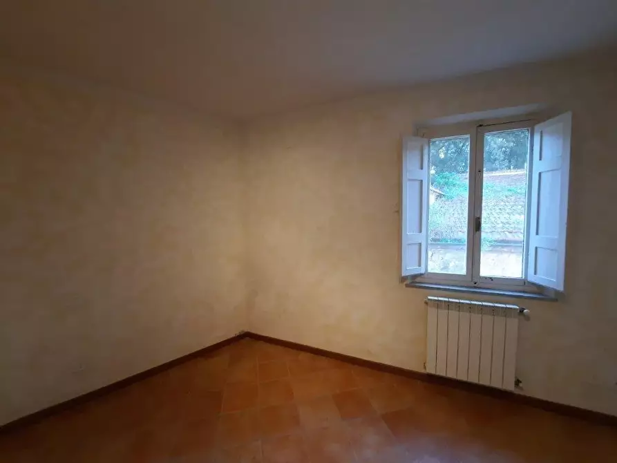 Immagine 11 di Appartamento in affitto  a Vicopisano