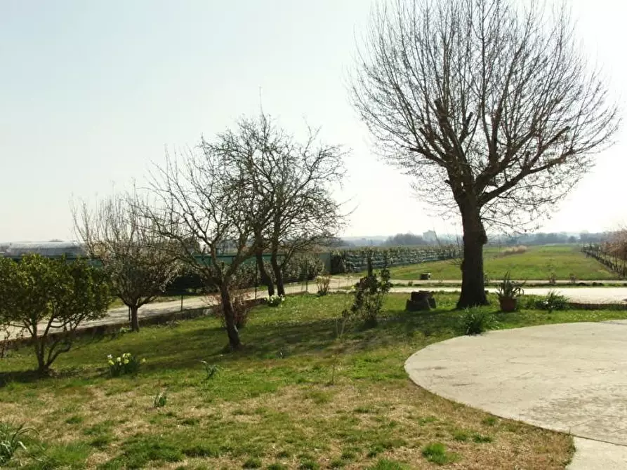 Immagine 14 di Agriturismo in vendita  a Buti