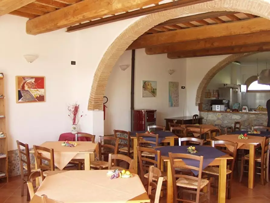 Immagine 6 di Agriturismo in vendita  a Buti