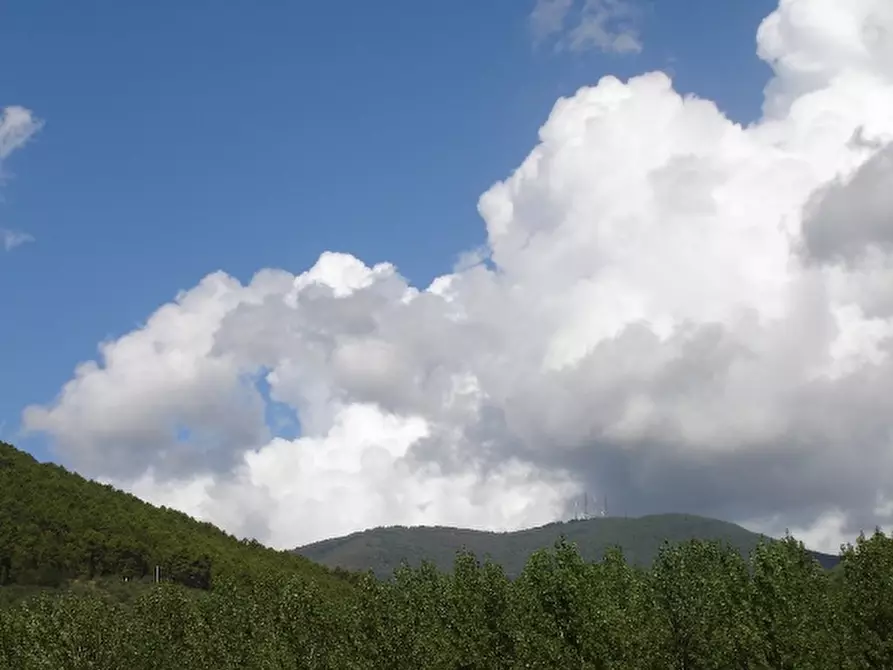 Immagine 13 di Agriturismo in vendita  a Buti